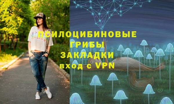 гидра Богородицк