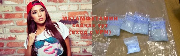 гидра Богородицк