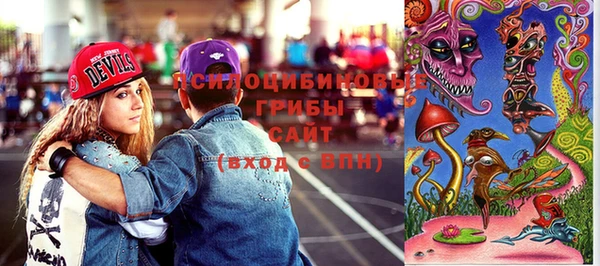 гидра Новозыбков