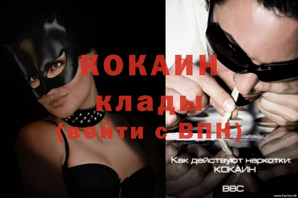 гидра Богородицк