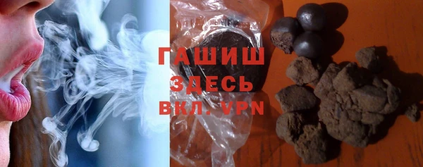 гидра Богородицк