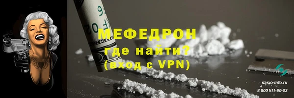 гидра Богородицк
