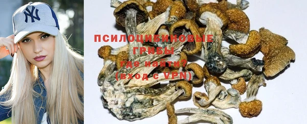 гидра Богородицк