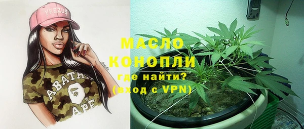 гидра Богородицк