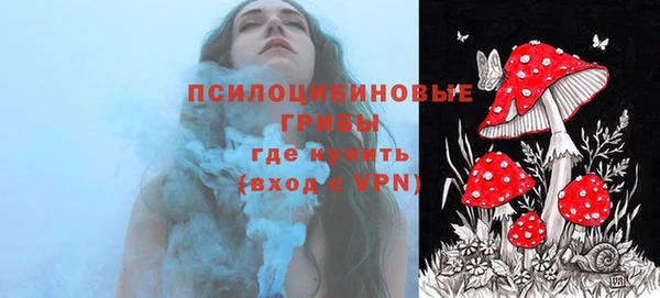 СК Богданович