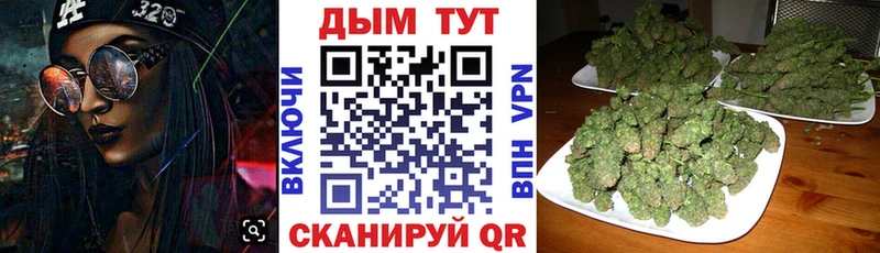 Каннабис план  купить  сайты  Торопец 